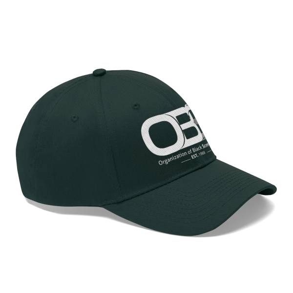 Unisex Twill Hat - Image 2