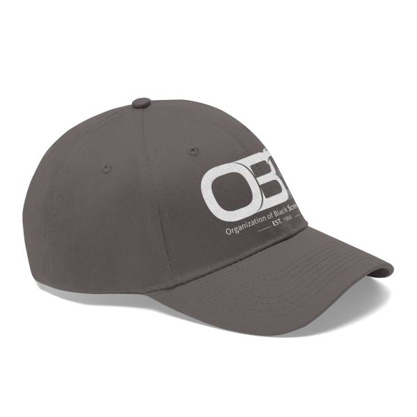 Unisex Twill Hat - Image 5