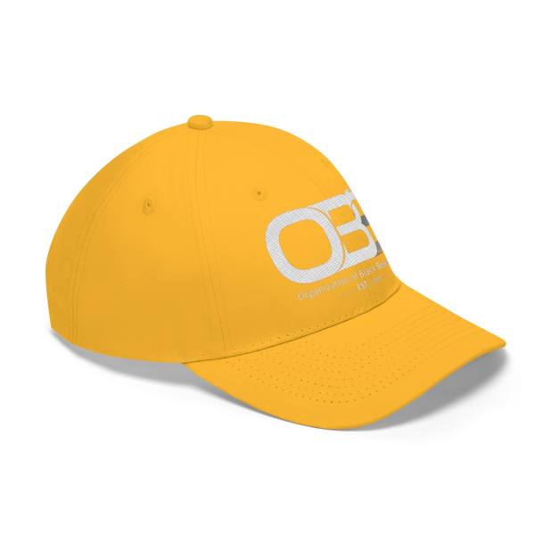Unisex Twill Hat - Image 11