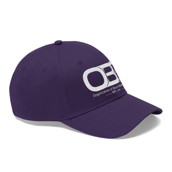 Unisex Twill Hat - Image 23