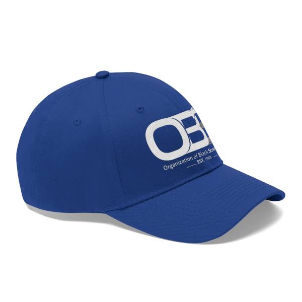 Unisex Twill Hat - Image 20